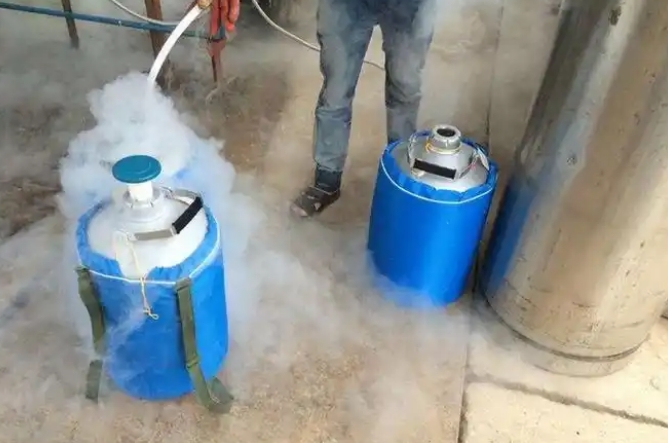 液氮戶(hù)外攜帶